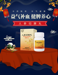 同仁堂人参归脾丸30g/瓶dt归脾丸浓缩丸人生归脾丸养血归脾丸益气补血