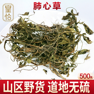 中草药肺心草