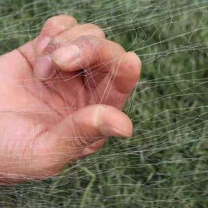 小鸟网细网防鸟用多功能防鸟网撑杆丝网尼龙防护网果树农田防护网