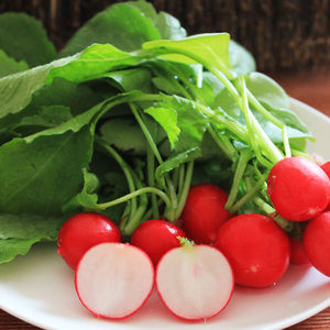 东北水萝卜菜新鲜