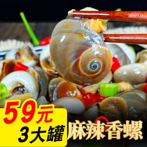 贵妃螺