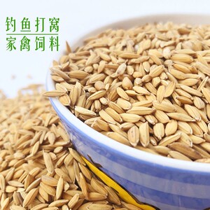 饲料稻谷粒子鸽壳水p稻喂鸡鸭鹅带鸟仓鼠谷吃零食农家粮物散装