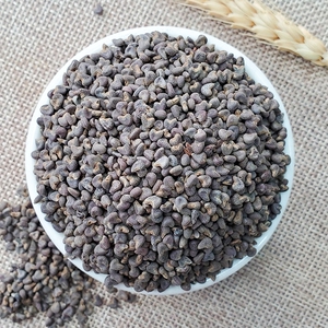 中药材苘麻子500g 苘实 空麻子 野苎麻子 冬葵子 青麻子 白麻子