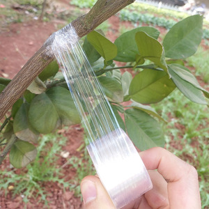 新品式园林果树嫁接专用膜 y嫁接胶带 包扎带缠绕膜接树嫁定制