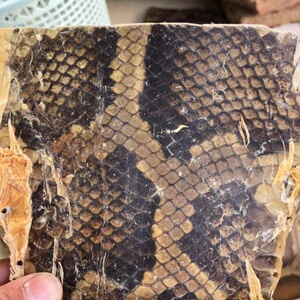 00婷婷服饰淘宝锁字精工仿生皮 正品 二胡 越胡 二胡等乐器仿生蟒蛇