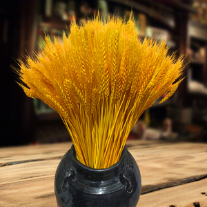 黄金麦穗干花花束开业天然大麦客厅田园装饰摆件插花拍摄道具干花