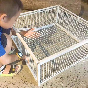 捕鸽神器抓鸽子笼全自动信鸽天落笼麻雀神器跳笼撞笼收鸽机活动门