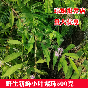 紫珠叶