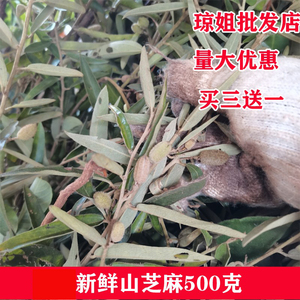 新鲜山芝麻假芝麻岗油麻山芝麻根山油麻坡油麻大山麻500克包邮