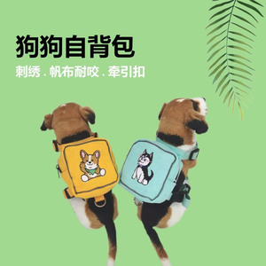 猫背带外出可爱