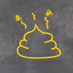 个性装饰恶搞大便汽车贴纸改装车贴屎苍蝇跑车jdm防晒玻璃搞笑潮