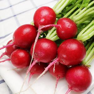 樱桃萝卜新鲜红萝卜甜脆生吃东北特产蔬菜蘸酱菜小水萝卜