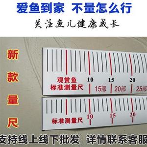 标准锦鲤鱼秋扬量尺大型观赏鱼体c长测量尺蓝盆周转箱自贴尺子防