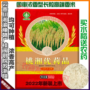 桃湘优莉晶杂交水稻种子早晚稻种籽超泰国香米品质口感好长粒米种