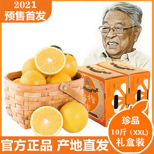 【珍品xxl】云南褚时健褚橙励志橙子诸橙冰糖橙当季水果