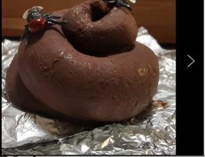 便便巧克力大便屎巧克力 恶搞大便芙德稀奇古怪的零食 趣味