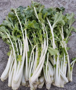 湖北特产广水土特产高杆白菜芯箭杆白菜芯打霜新鲜孕妇蔬菜包邮