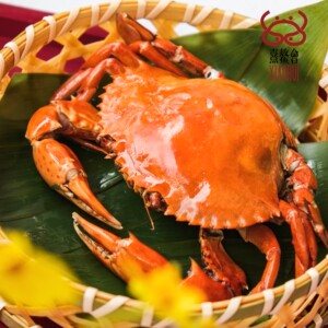 南沙鲜活黄油蟹油膏蟹 非台山三门青蟹 188元～288元/只