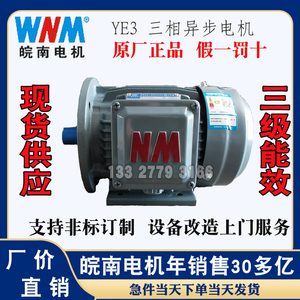 皖南电机YE3/YE4/YE5/Y/YE2/YX3/Y2高效率三相异步电动机及配件