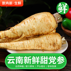 【现货速发】新鲜芹归根500g云南农家当季时令蔬菜非当归党参包邮