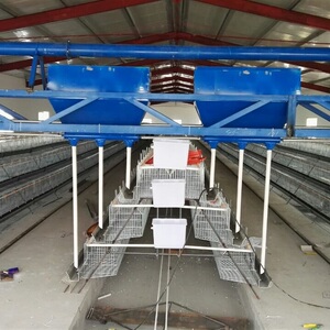 养鸡自动喂料车