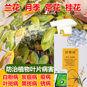 苯甲吡唑脂胶囊笨呲兰花月季茶桂花卉专用药叶斑白粉病黑斑炭疽