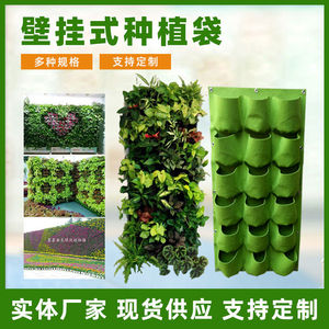 立体种植袋挂墙式垂直绿化植物墙美植袋阳台种菜壁挂毛毡布袋花盆