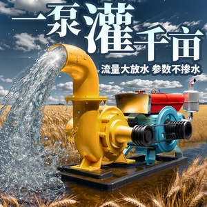 柴油抽水机大流量混流泵农用灌溉泵浇地水泵8寸10寸排涝防汛水泵