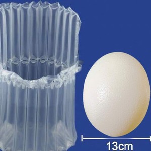 鸵鸟蛋打包发货专用 气泡袋 10柱气柱袋 气泡膜 20个包邮