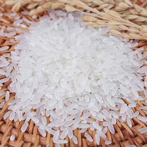 玖金梁精制粳米东北五常稻花香大米5kg10斤礼