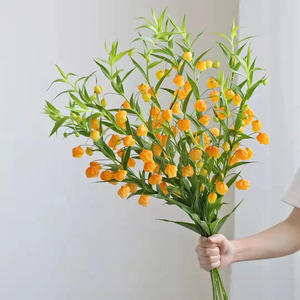 宫灯百合日本进口高端水养鲜花室内随风摇曳黄色精灵花材