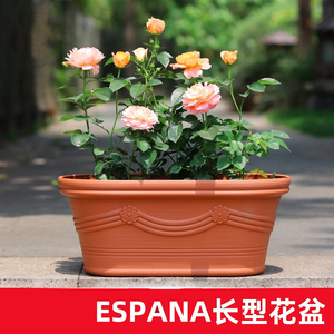 玫瑰月季花专用花盆