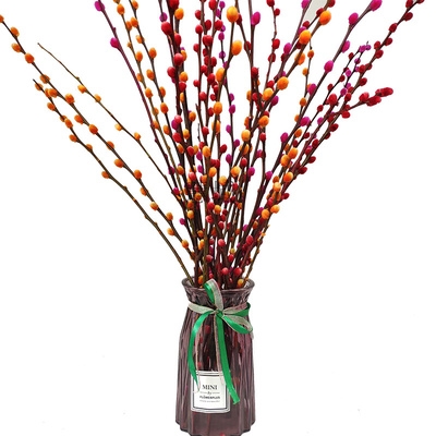 干枝梅真花梅花