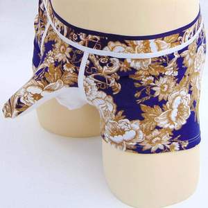 情趣内裤男露jj大象