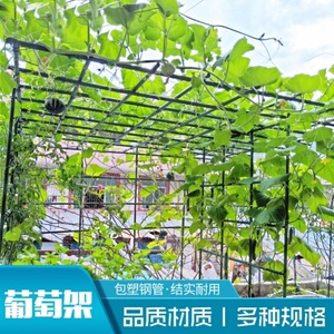 弥猴桃爬藤架园艺用品支柱支架包塑钢管托杆围栏爬墙支架杆竹子.