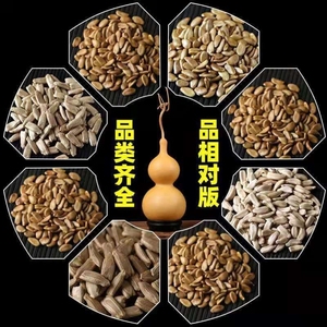 特小大文玩手捻把玩葫芦种子天然种植观赏葫芦苗可阳台盆栽葫芦籽