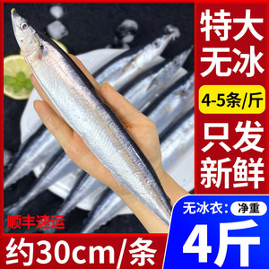 秋刀鱼新鲜冷冻3斤特大号鲜活海鱼批发商用日式烧烤食材4-5条/斤
