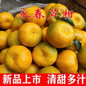 正宗福建永春芦柑新鲜10斤橘子当季现摘甜水果椪碰柑桔子整箱