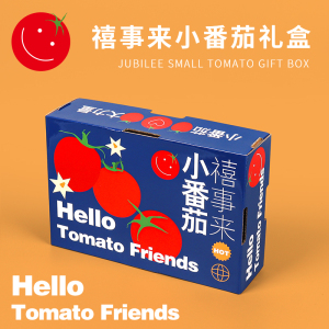 高档千禧圣女果小番茄包装盒礼盒西红柿2-5斤天地盖礼品盒纸箱