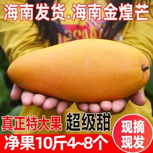 海南芒果金煌芒台湾水仙芒果新鲜水果超级大芒果金黄特大整箱10斤