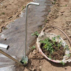 栽苗器移苗器加厚带脚蹬多功能种西瓜豆角番茄土豆辣椒苗移栽神器