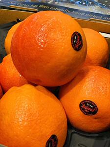 阿诺德血橙新鲜水果 进口橙脐橙arnold非赣南脐橙纯天然农家橙子