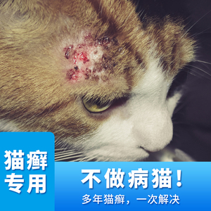 猫咪去除预防猫藓猫专用外用幼猫螨虫喷剂喷雾用品药