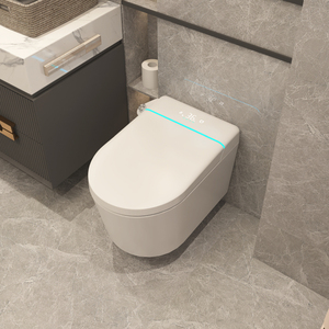 虹吸壁挂式智能马桶家用小户型隐藏悬挂嵌入墙排挂壁式悬空坐便器