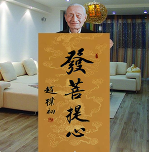 赵朴初书法手写精品三尺行书名人恭菩提心字画办公室书房装饰画