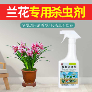 兰花杀虫专用药杀虫剂介壳虫药除病虫害盆栽家用花卉植物驱虫喷雾