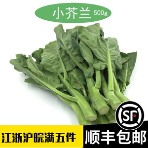 新鲜小芥兰500g中花广东芥兰菜心蔬菜白灼 甜芥兰苗仔食用芥兰苔