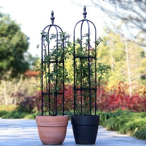 金银花爬藤架小型花架篱笆欧式拱门月季蔷薇花攀爬支架庭院鸟笼架