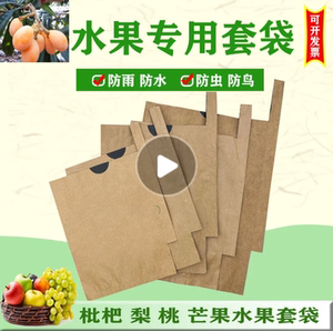 水果套袋专用袋果袋防鸟套网防虫用枇杷梨袋芒果包袋纸袋琵琶防水