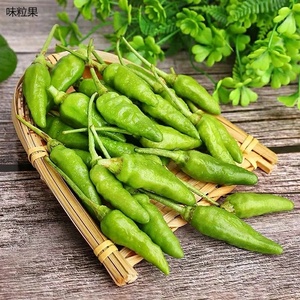 新鲜青的野山椒